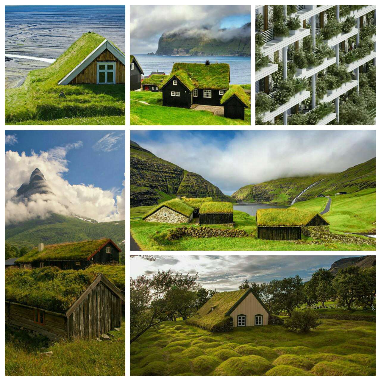 خانه های اروپایی با سقف پوشیده از گیاهان برای کاهش مصرف انرژی و حفظ دمای خانه ها
